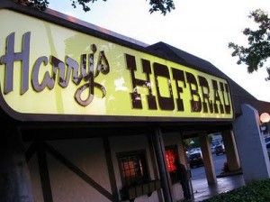 I'll get the Open Faced Versteeg Sandwich please, hold the giblets.